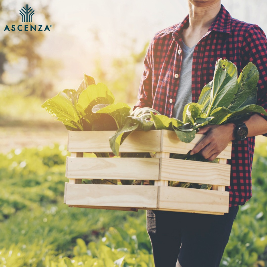 AscenzaCorp's tweet photo. We all have a mission. At ASCENZA our mission is to feed the world's population, using healthy and safety solutions enabling a well-balanced agriculture.#ascenzacorporate #ascenza #agriculture #people #planet #becausewecare #becausewecareaboutplants #farmingyourfuture https://t.co/5JjcVmMVqk