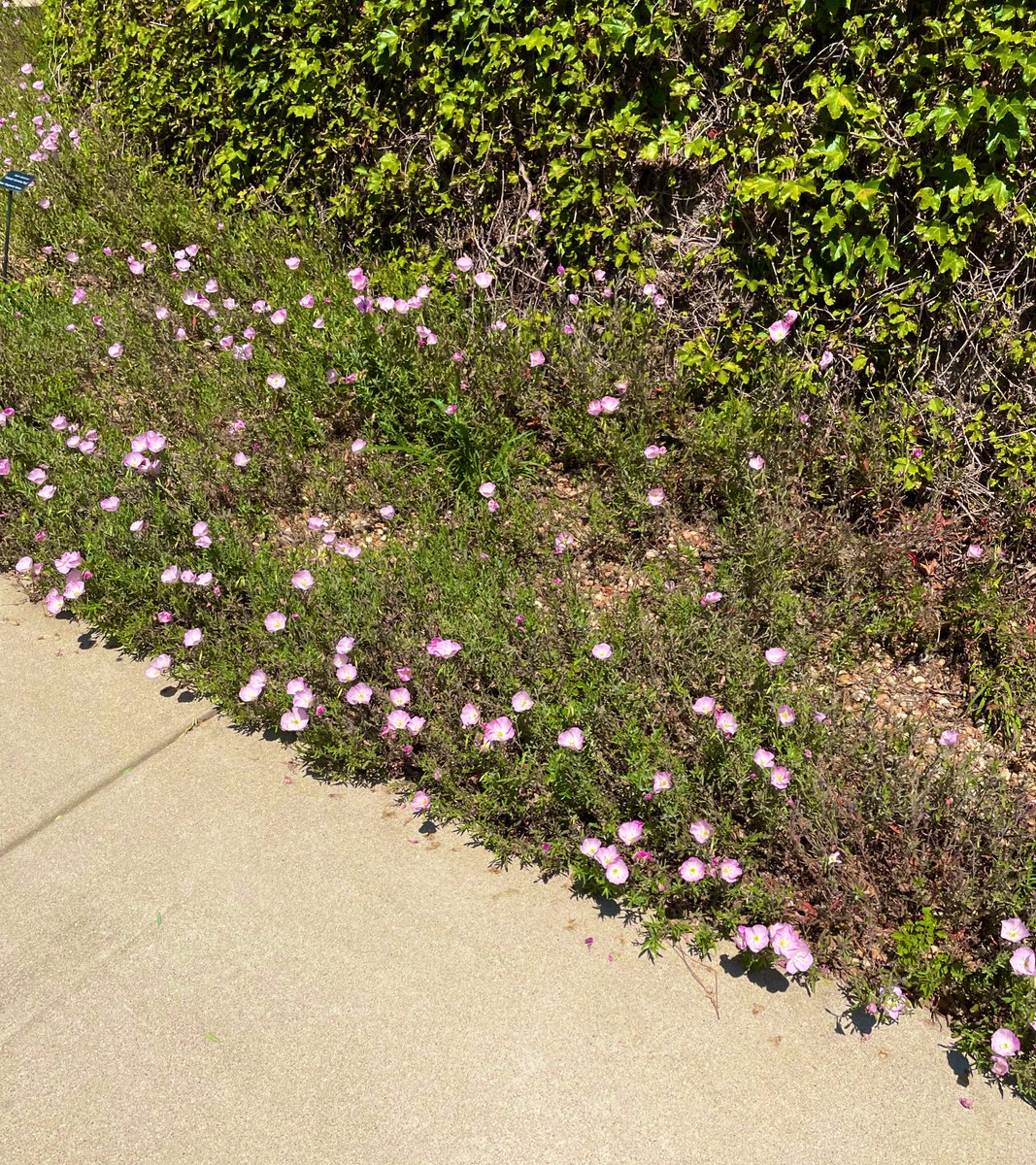 Melanie Johnson tweet media