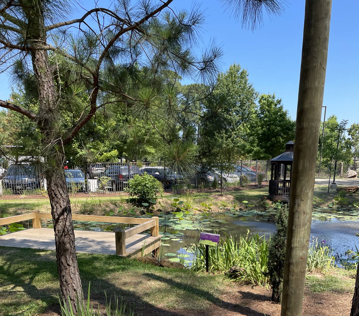 Melanie Johnson tweet media