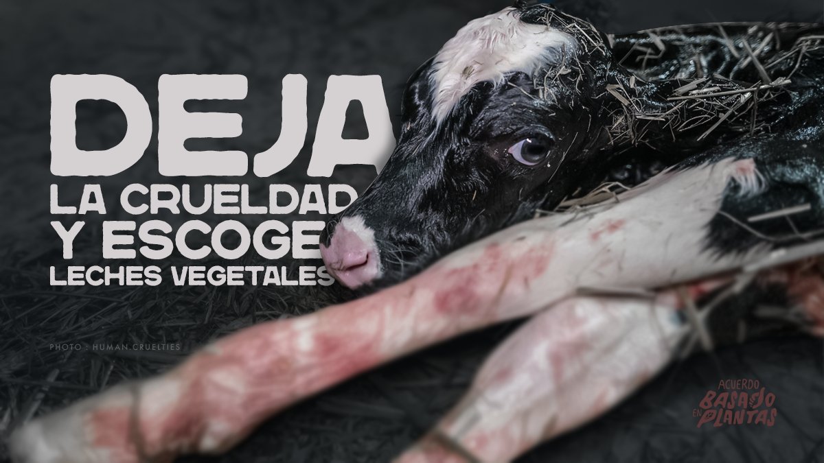 Mike ⓥ tweet media