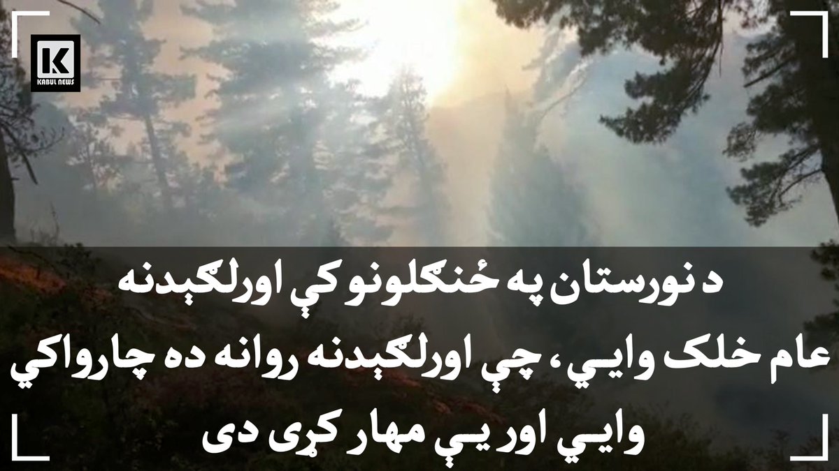 kabulnewstv's tweet photo. د نورستان په ځنګلونو کې د اورلګېدنې د مهار په اړه عام خلک او چارواکي ضد او نقیض څرګندونې لري.
د نورستان اوسېدونکي وايي، د دې ولایت په واما او نورګرام ولسوالیو کې د ځنغوزیو او نښترو په ځنګلونو کې له تېرو څو ورځو راهیسې اور لګېدلی، چې لا هم نه دی مهار شوی. https://t.co/G6UzqkGQ48