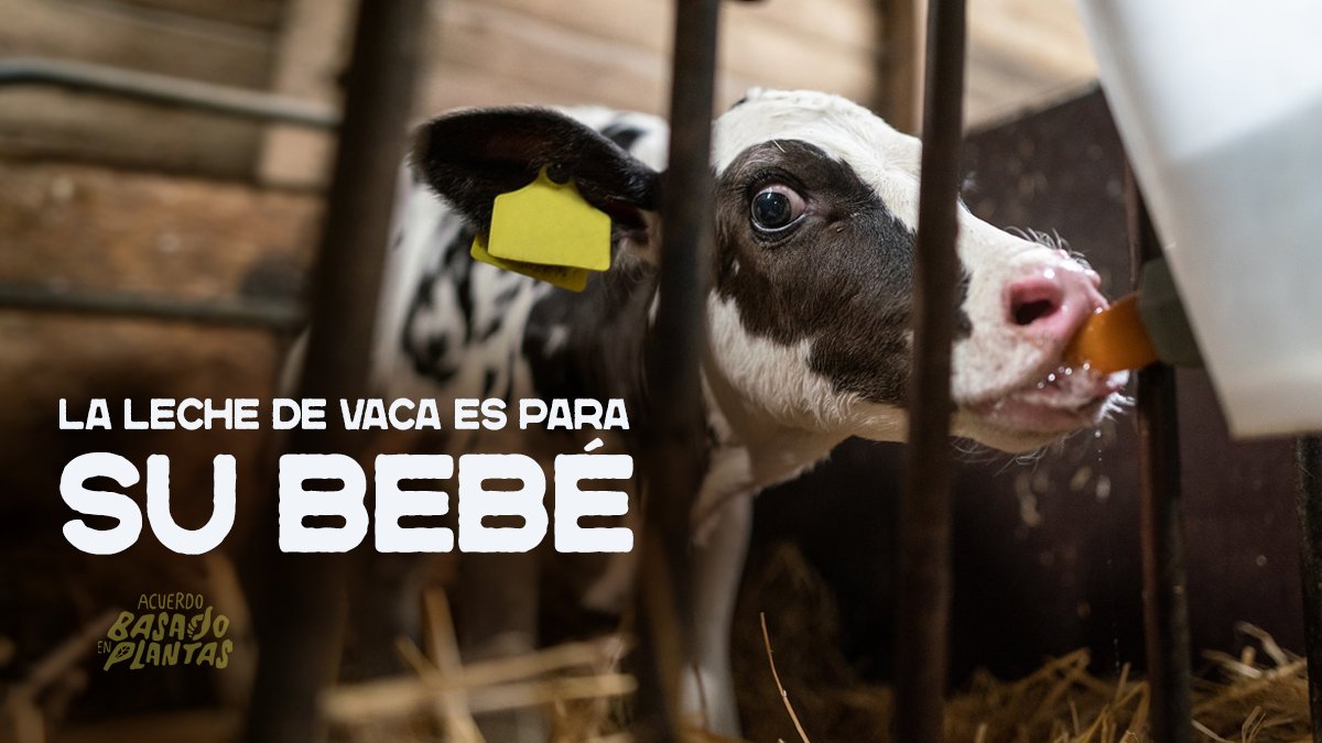 Mike ⓥ tweet media