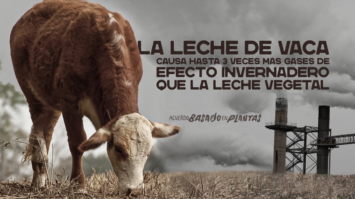 Mike ⓥ tweet media