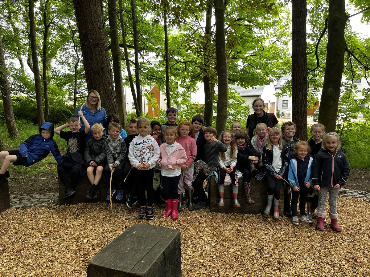 Miss Harvey - Primary 3 tweet media