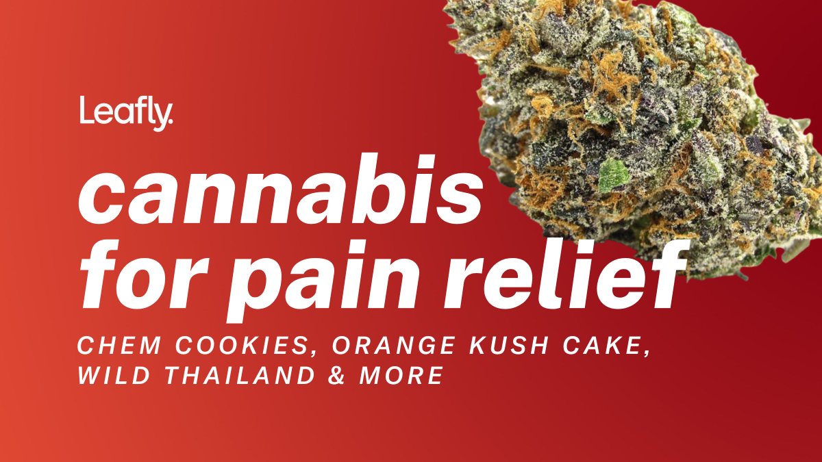 Leafly tweet media