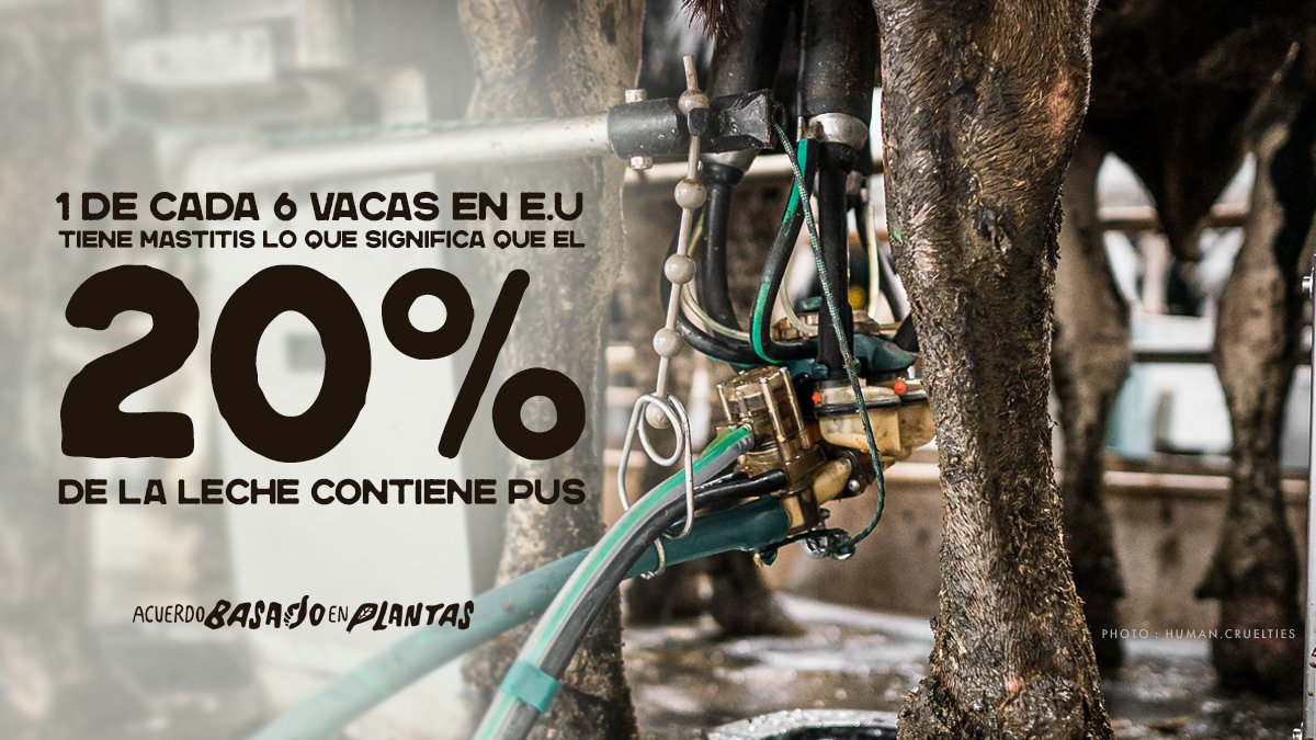 Mike ⓥ tweet media