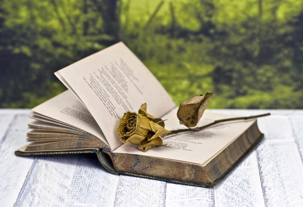 izzardink's tweet photo. Poetry is what makes every language beautiful in its own way. Choosing and arranging your words carefully to express your deepest feelings is truly an artform. Self-publishing your poetry book gives your art a permanent home — and a durable, attractive

https://t.co/aSMFi3hxeG https://t.co/R4HC2HduLy