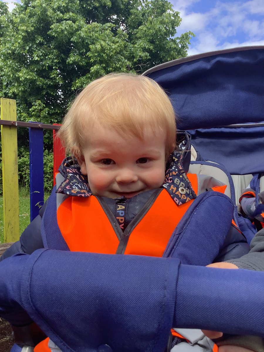 shiresnap's tweet photo. This afternoon the babies enjoyed a trip to explore one of the local parks!😁 https://t.co/Y3s4HE2MyK