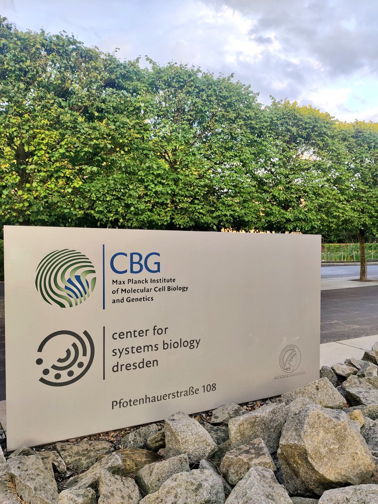 sdawka12's tweet photo. Rainbows and sunshine welcoming me on my 1st day @mpicbg 😍 https://t.co/j9BYhItybH