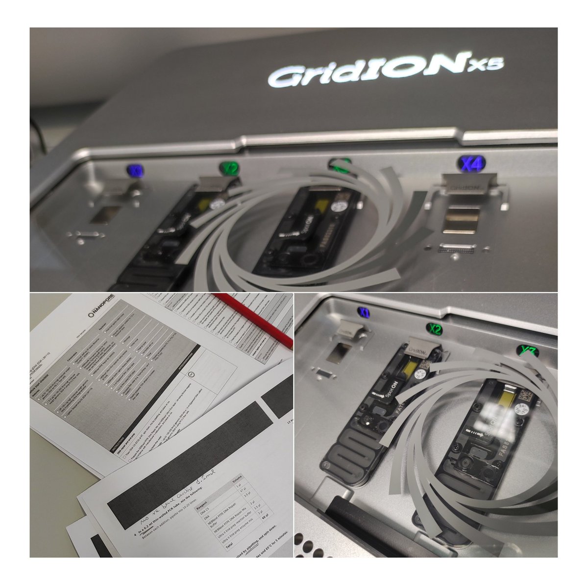 G4L_Genomics's tweet photo. #sequencing #trainingday @nanopore https://t.co/QLfVq5fx6N
