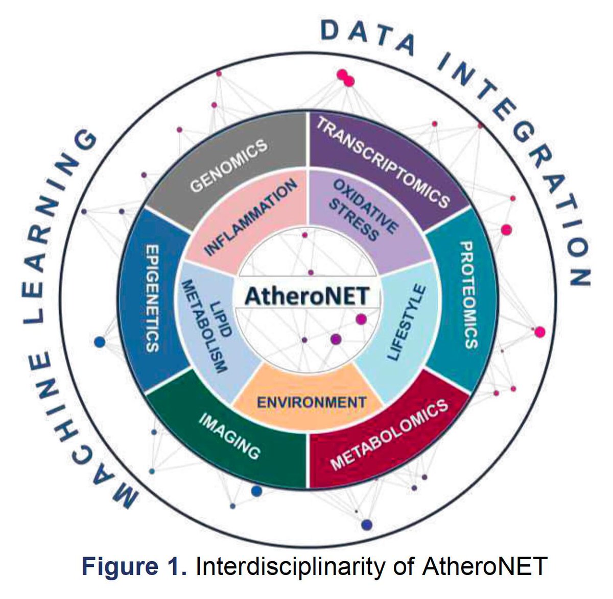 cost17129's tweet photo. Congratulations to project lead @miron_sopic for approval of brand new @COSTprogramme  - #AtheroNET. An international effort to further understanding, diagnosis and treatment atherosclerosis. #CardioTwitter @BelgradeUni @mhackl @ines_potocnjak @StephanieBezzi1 @Robinson7L https://t.co/85tDwEpHGs