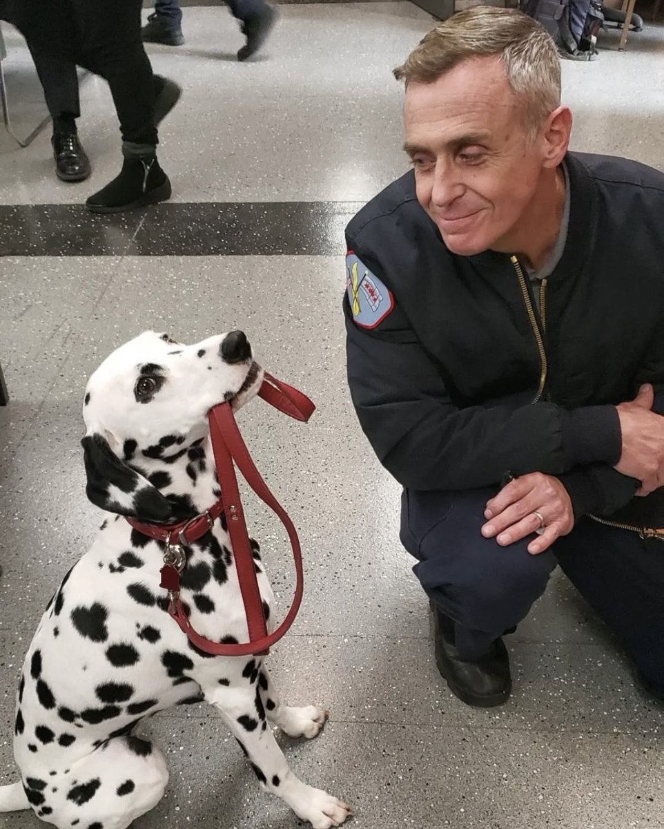 NBCOneChicago's tweet photo. Tuesday will always be a part of 51 and the One Chicago family. Our hearts go out to Christine Mahaney and WHATADOG for their loss. 🧡 https://t.co/h3GuueSulX