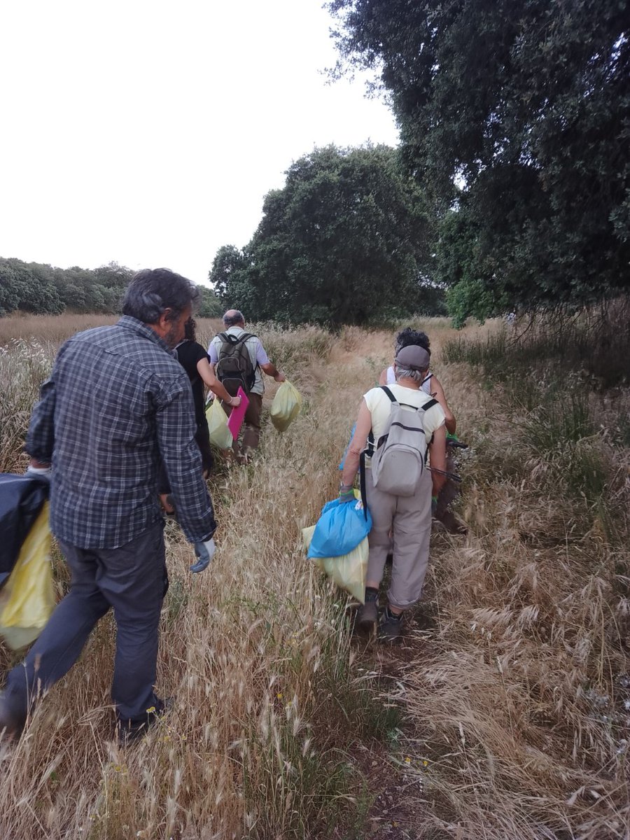 FundacionFire's tweet photo. 👏Queremos dar las gracias a tod@s los voluntari@s que participaron el lunes en nuestro taller y #recogida de #basura en el laboratorio de #biodiversidad de La Nava del Conejo, dentro del proyecto #RestauRural
#campodemontiel #valdepeñas #convocatoriaMADS @caixabank @FMontemadrid https://t.co/aIgX26BQV3