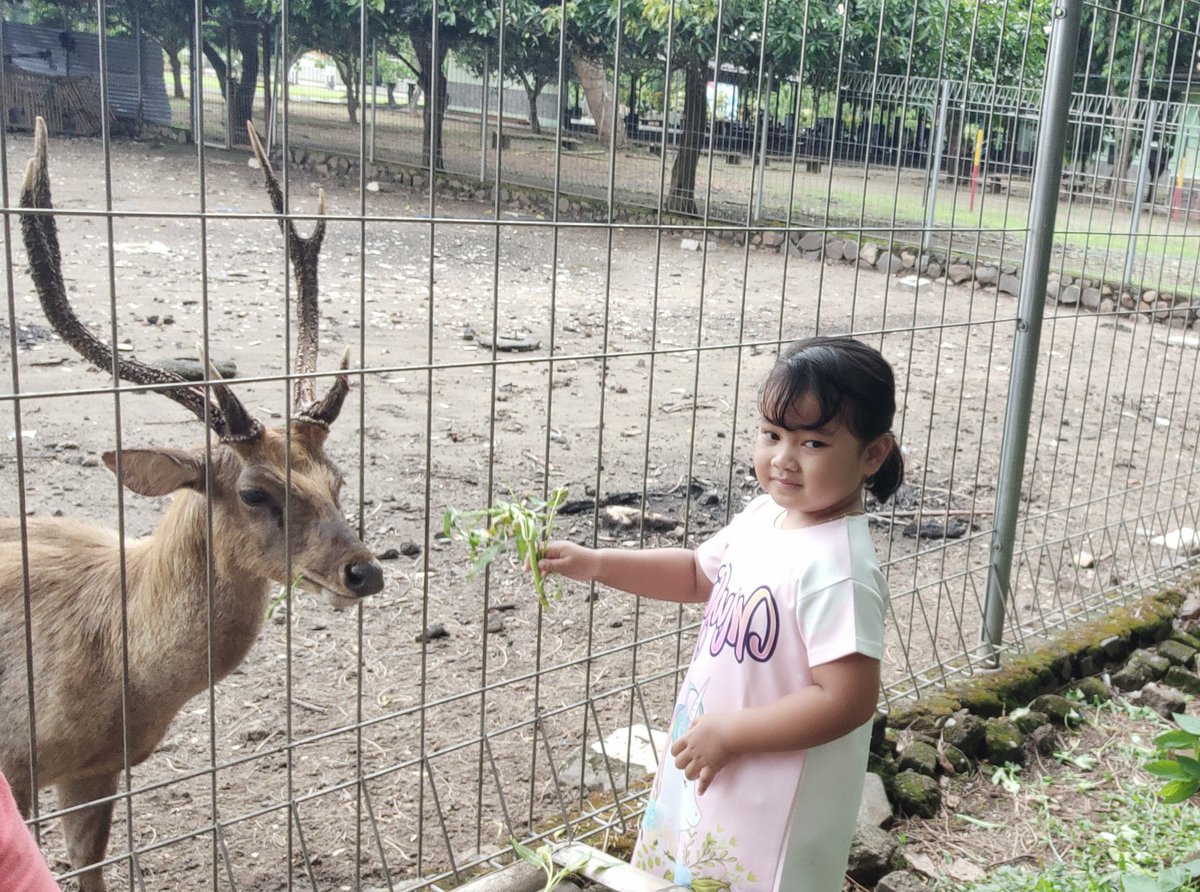 AndiequeAndrey (@andiequeandrey) on Twitter photo 