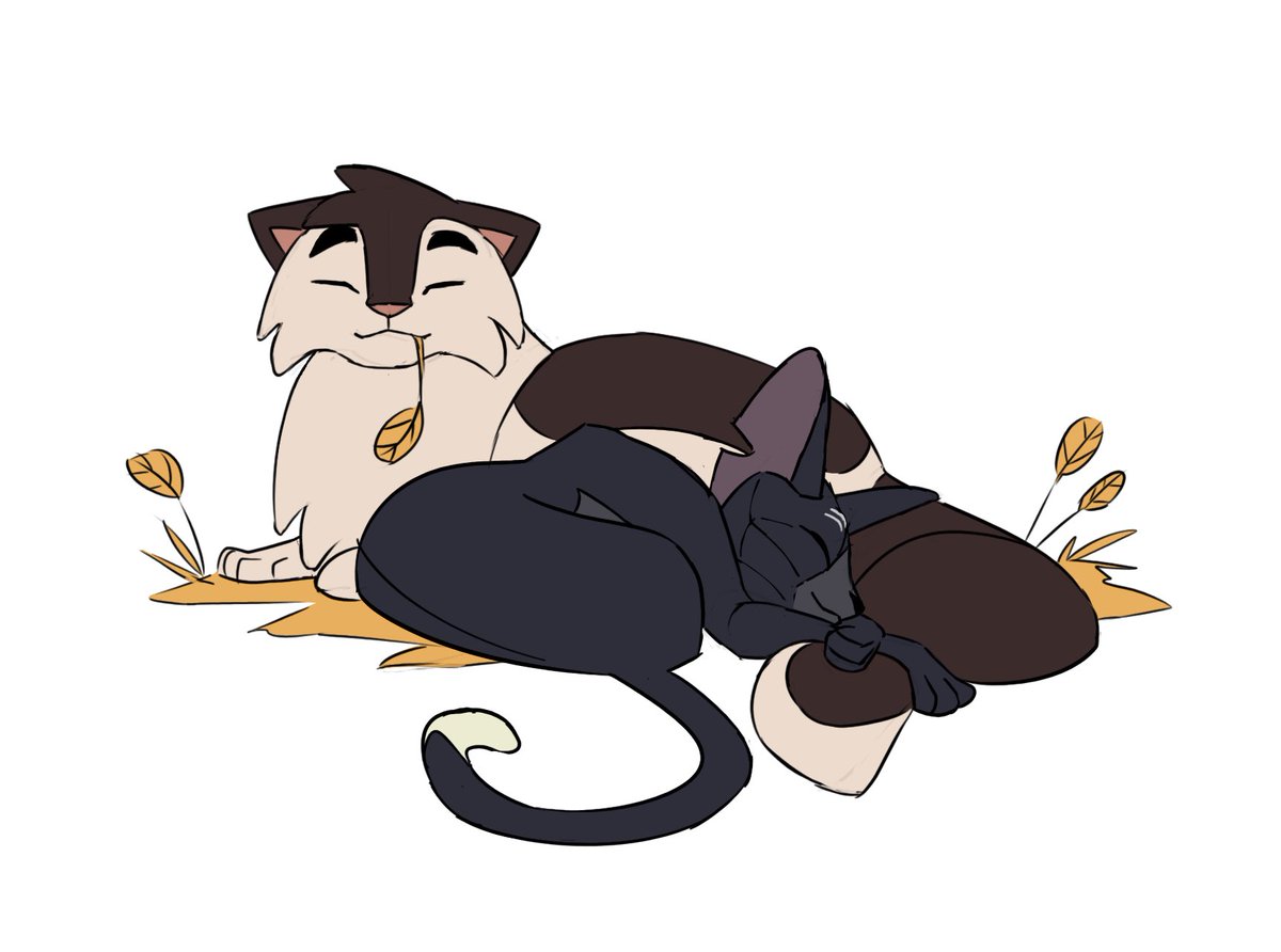 WCAnimated's tweet photo. Happy #Pride2022 from WCAnimated! Any guesses who will make an appearance as part of our Pride series this year? 👀

Ravenpaw and Barley by @mariah_art and @ShowtneCockatoo !

#WCAnimated #Warriors #WarriorCats https://t.co/d1Fjy1fyxu