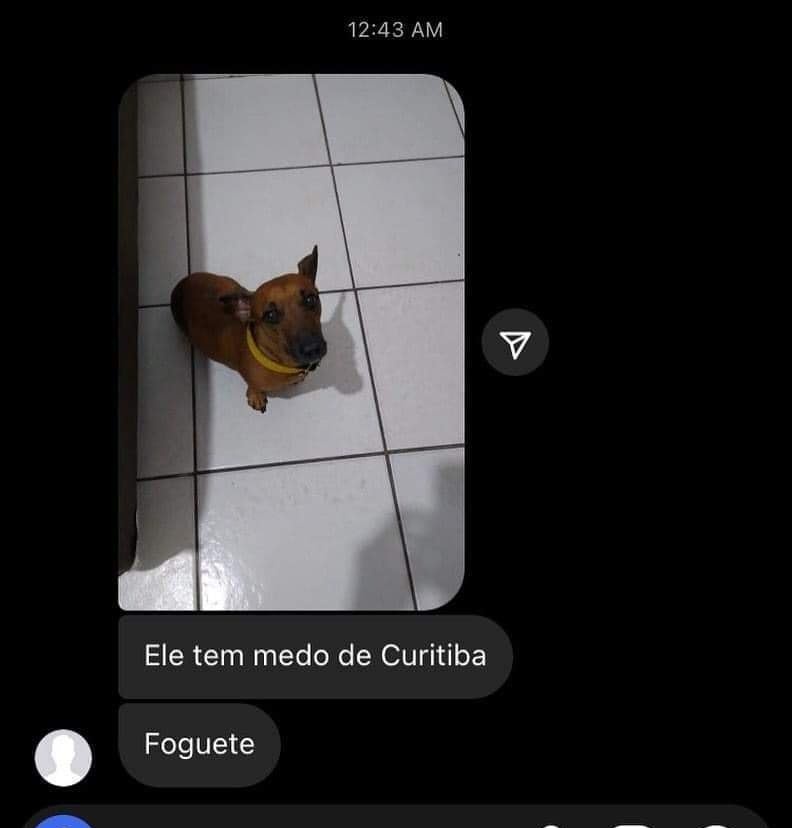 MEMES HORRIVELMENTE HORRÍVEIS (@memesrmp4) on Twitter photo 
