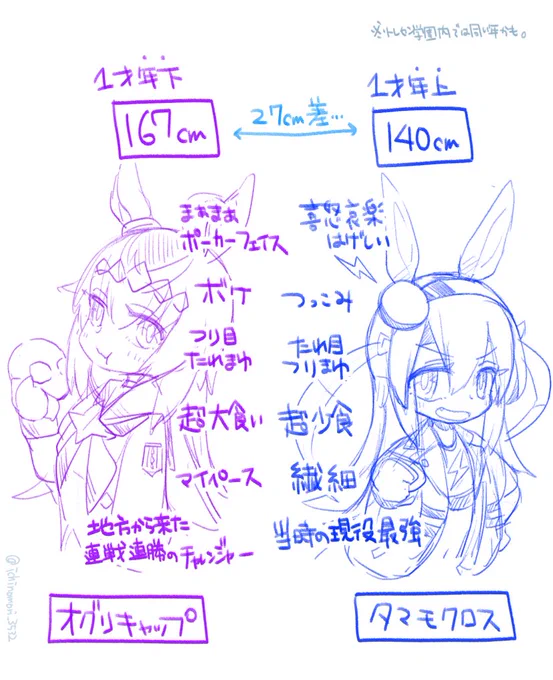 書き込み切れないオグタマのひとりプレゼン資料 