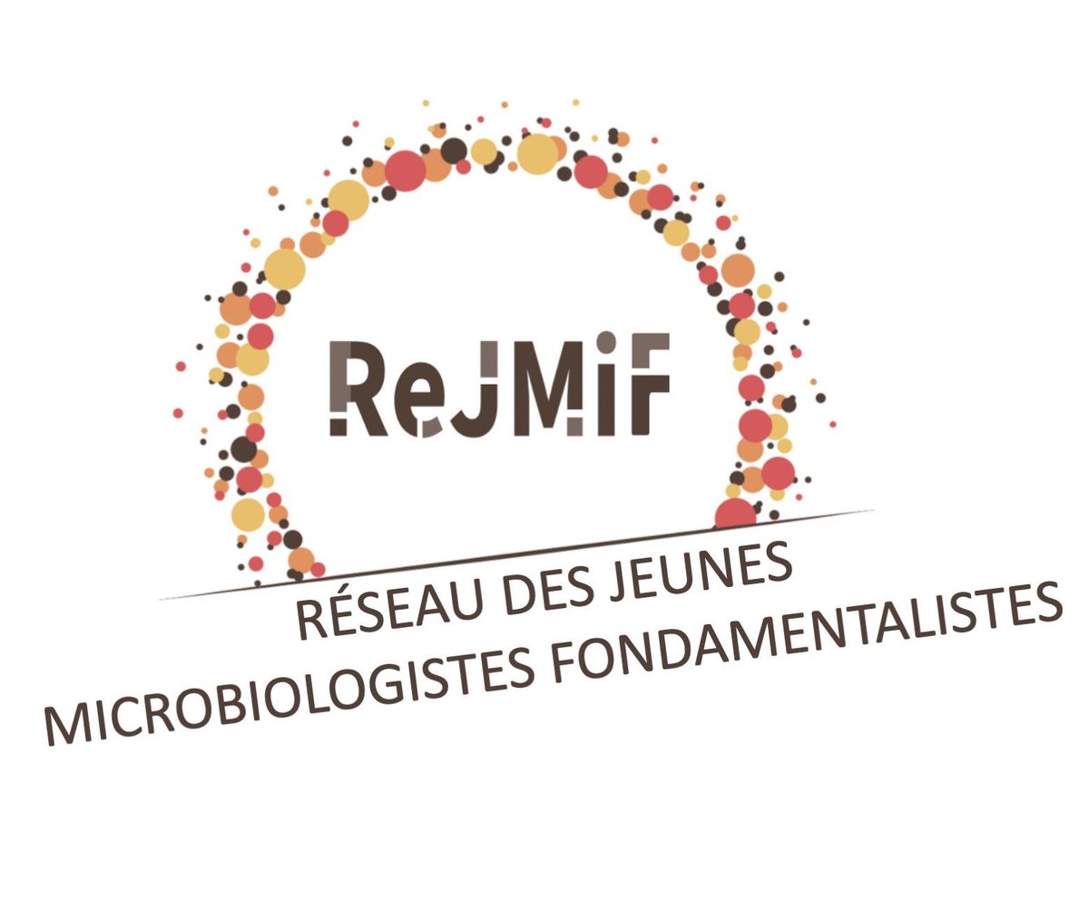 laBioauLabo's tweet photo. Pour finir cette journée, je me mets à mon bureau pour avancer sur les différents projets que nous avons avec le ReJMiF de la Société Française de Microbiologie. Il est important pour moi de m'investir dans l'associatif pour promouvoir le travail des jeunes chercheurs ! @sfm_jm https://t.co/fMw0TQvJFp