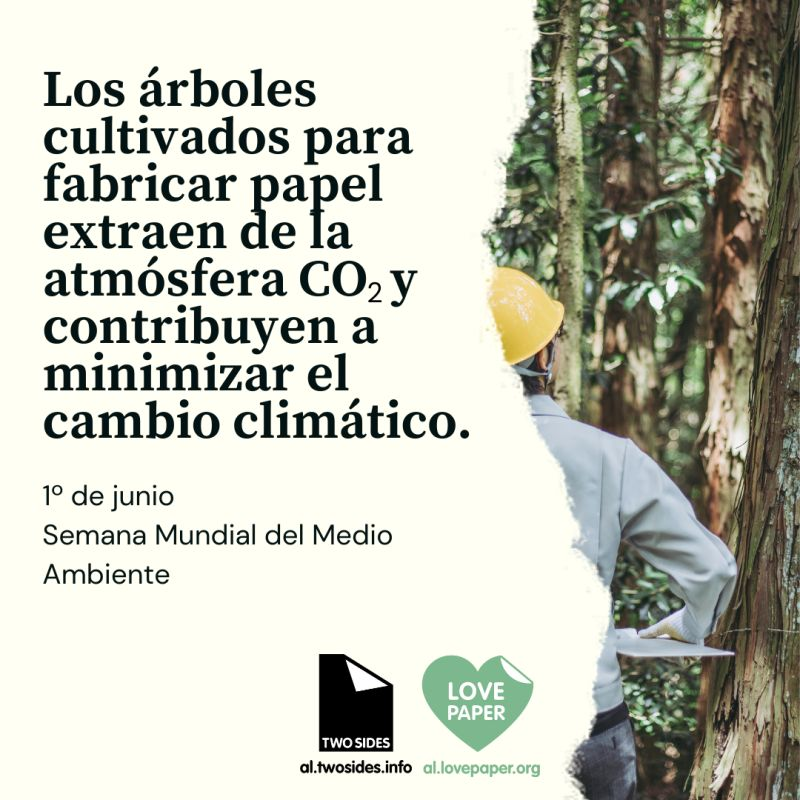 Ronald Javier Vera 🇦🇷 (@ingronaldvera) on Twitter photo 