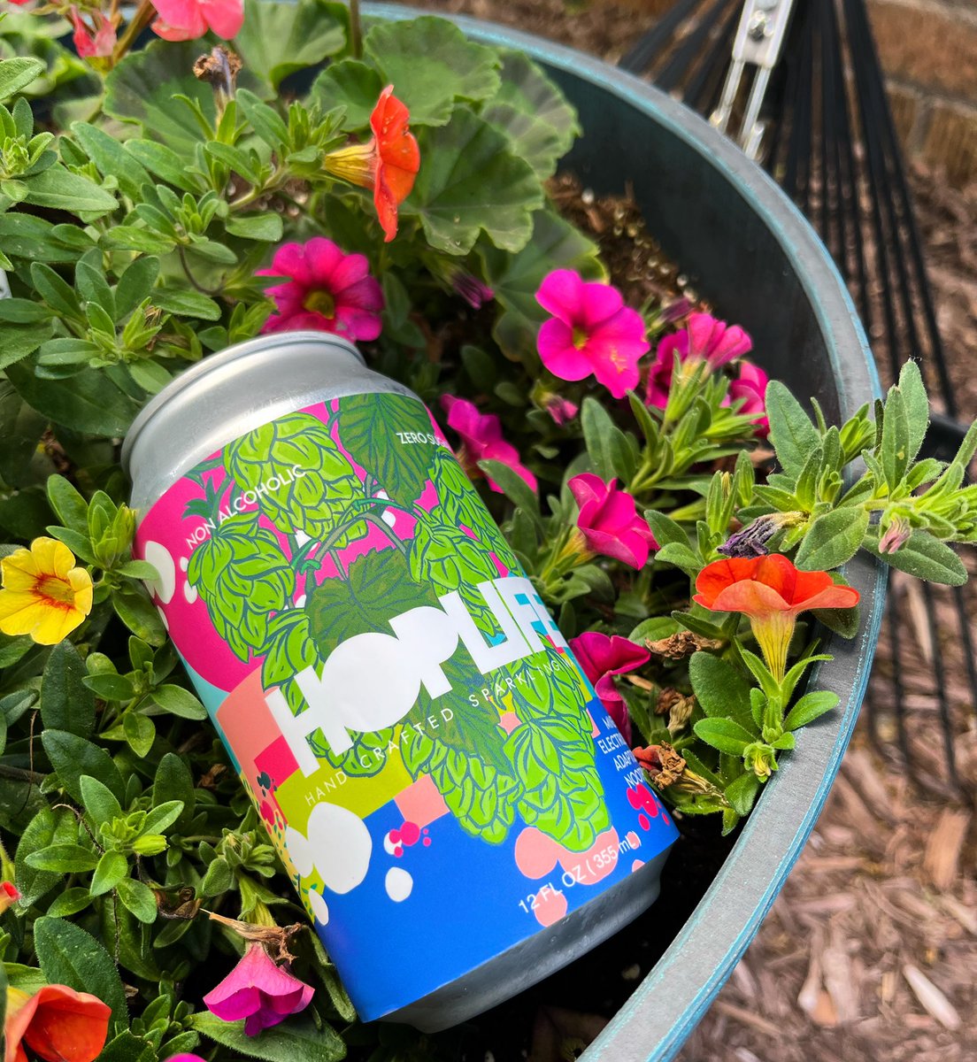 nomadicbeverage's tweet photo. Happy and hydrated!  Sparkling water uplifted with hops, adaptogens, nootropics, electrolytes and minerals!No alcohol, no sugar, all goodness. 
https://t.co/sw4zIKOc6I #nomadicbeverage #hoplife #gowanderaround #noalcohol #nosugar #keto #glutenfree #delicious #hydrate #soberlife https://t.co/DeQajIqMS8