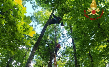 tempoweb's tweet photo. Vola con il parapendio e resta bloccato tra gli alberi. Spettacolare salvataggio #monteterminillo #rieti #1giugno #iltempoquotidiano  https://t.co/5UNGoFLD2O https://t.co/WpRp0zgGQf