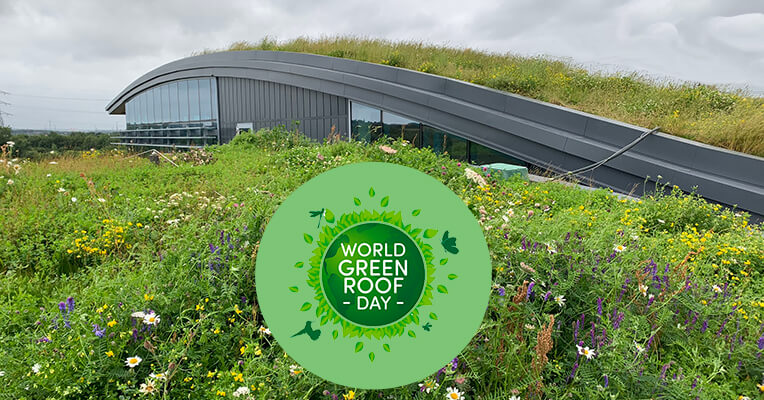 Roofing Today (@roofingtoday) on Twitter photo Get Ready for World Green Roof Day on 6 June 2022 bit.ly/3GFUNHN Share why you are involved in green #roofing on Monday 6 June & take part in fun green roof activities #WGRD22 @WGRD2022 <a href="/greenroofsuk/">dusty gedge</a> <a href="/RoofGro/">Green Roof Organisation (GRO)</a> <a href="/WorldGreenRoofs/">World Green Roofs</a> Get Ready for World Green Roof Day on 6 June 2022 bit.ly/3GFUNHN Share why you are involved in green #roofing on Monday 6 June & take part in fun green roof activities #WGRD22 @WGRD2022 <a href="/greenroofsuk/">dusty gedge</a> <a href="/RoofGro/">Green Roof Organisation (GRO)</a> <a href="/WorldGreenRoofs/">World Green Roofs</a>