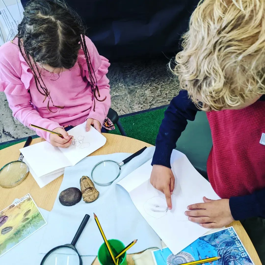 NCMGlearning's tweet image. Become a Paleontologist family workshop @wollatonhall  with @Sue_Mallender. Looking at fossils, timelines and some hands on excavation.

More sessions will be running over the summer holidays, check out the Wollaton hall website for details ( coming in the next couple of weeks!)