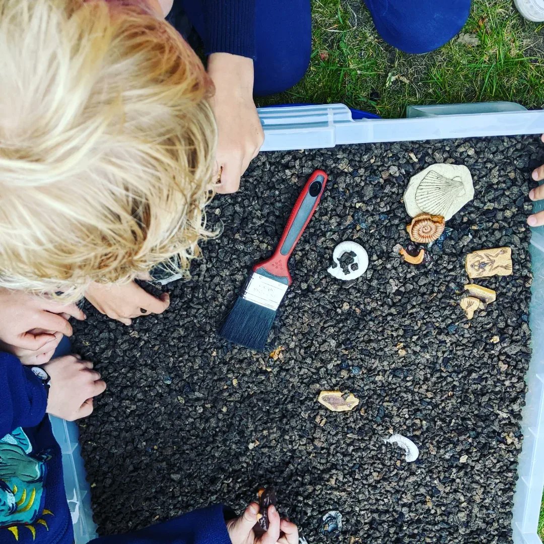 NCMGlearning's tweet image. Become a Paleontologist family workshop @wollatonhall  with @Sue_Mallender. Looking at fossils, timelines and some hands on excavation.

More sessions will be running over the summer holidays, check out the Wollaton hall website for details ( coming in the next couple of weeks!)