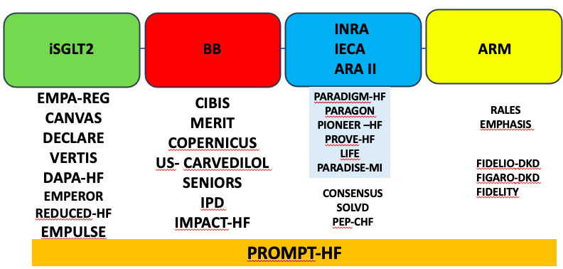 redGDPS's tweet photo. Y hablamos de los estudios de las 4 dianas terapéuticas en IC con FE<50%
#iSGLT2 #BB #ARM y grupo de #INRA #IECA y #ARAII
NOvedades en estudios en el spectrum cardio-renal-metabolico
#avanzadoredgdps #webgdps https://t.co/FzSoGob3wR