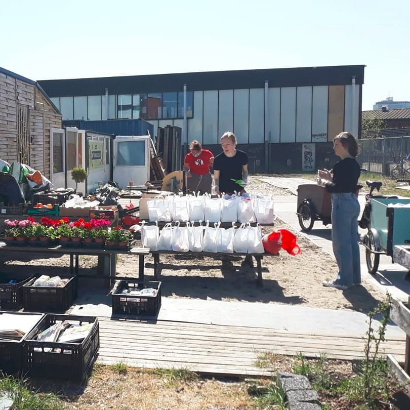 Common In tweet media