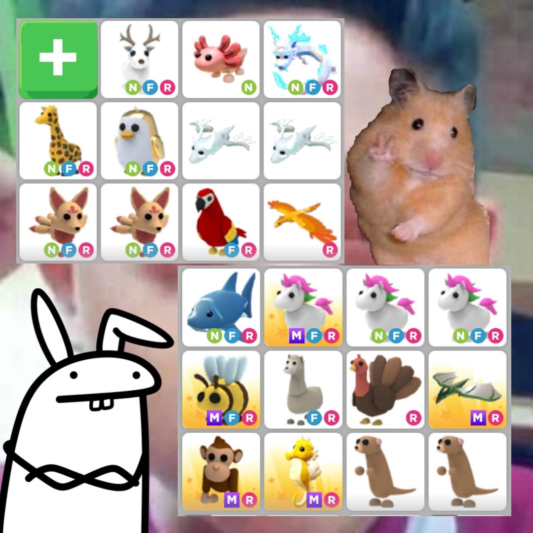 MYDORAEMON11's tweet photo. @PlayAdoptMe TRADING
NFR GIRAFFE FOR 5 FROST
NFR ARCTIC FOR OWL
PARROT FOR EVIL AND 2 NFR LEGENDARY https://t.co/9B7MO3vx1J