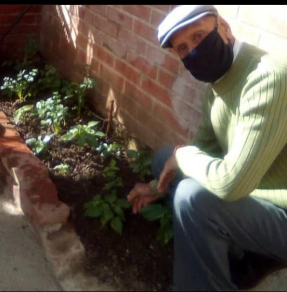 SOScasatriaje's tweet photo. Falso? Esta foto donde sale el compañero Bello (abuelito del centro) la publicaron ustedes en su Instagram orgullosos de las maticas que sembramos, así lo dejo la señora YOSELIN JUSTINIANO quien mando a quitar nuestro trabajo diciendo “estos pedazos de viejos no se merecen nada” https://t.co/s0pWNIeM2j