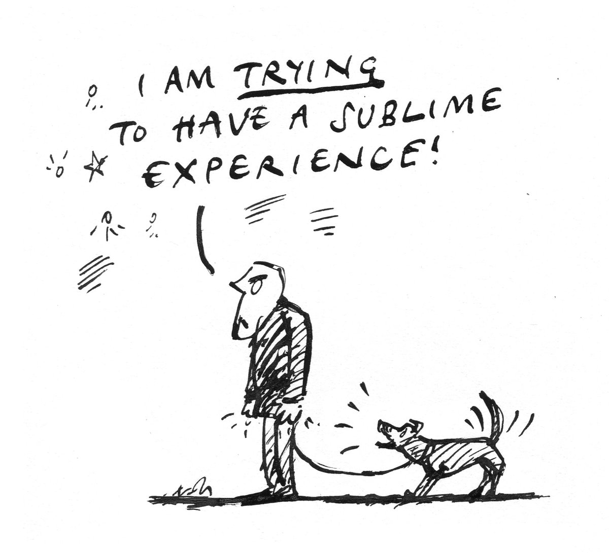 Bill Jones tweet media