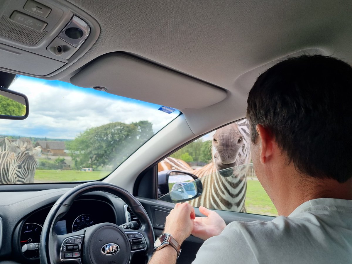HeidiRedburn's tweet photo. Two of my fav pics from @WestMidSafari Hubby feeding one of his favourite animals and being so close to them #madehisday ❤️ https://t.co/4Rplq8tXnt