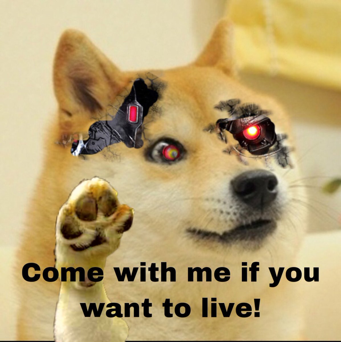 DogeMoon21's tweet photo. Terminator Doge π #doge #dogecoin #terminatordoge https://t.co/l8aWVnex60