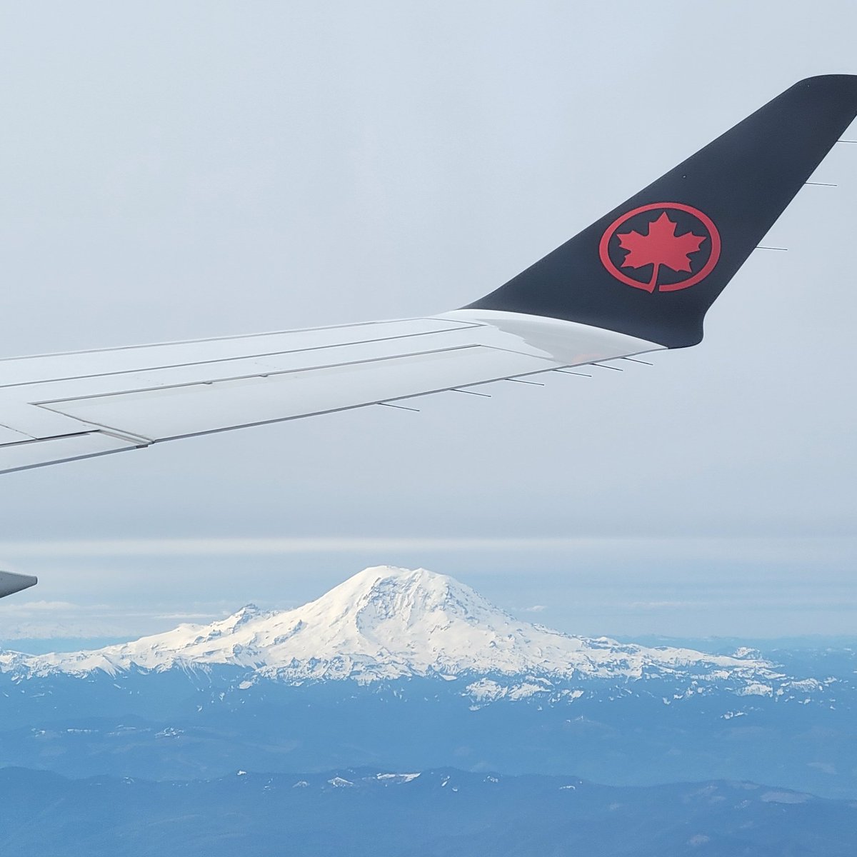 Maddie Morris tweet media