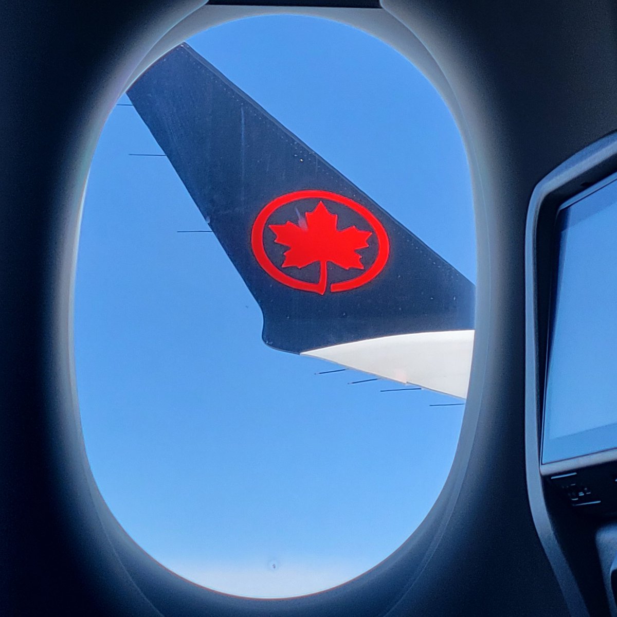 Maddie Morris tweet media