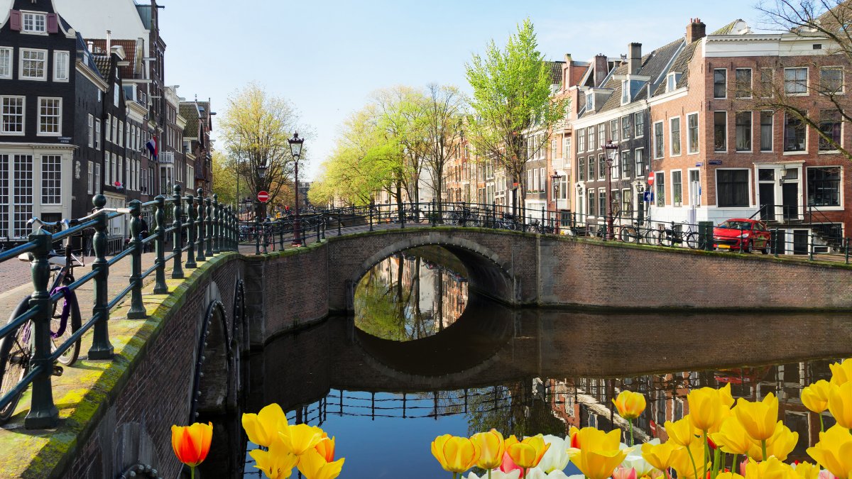 Reist je met de auto naar Amsterdam? 🚙 Bekijk onze nieuwste blog over alles wat met Amsterdam te maken heeft! Parkeerregels, tips, lage emissie zones &amp; meer. #amsterdam #travel #roadtrip #parking #amsterdamparking
bit.ly/3GES2X2