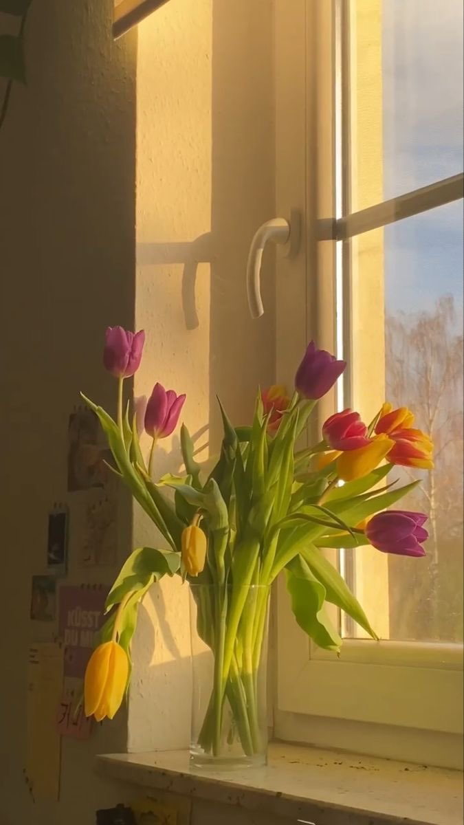 niallsflowerbot's tweet photo. my heart belongs to niall horan <3 https://t.co/iZKnlkO9Iq