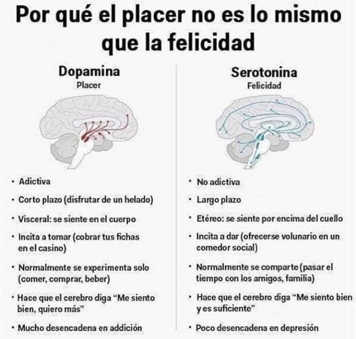 avanzandoacasa's tweet photo. https://t.co/1qaS4nlfPA