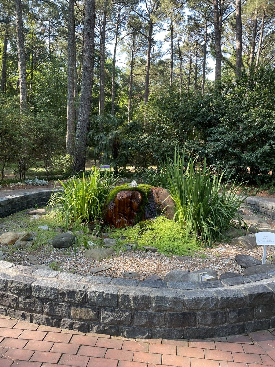 Melanie Johnson tweet media