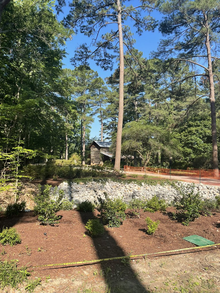 Melanie Johnson tweet media