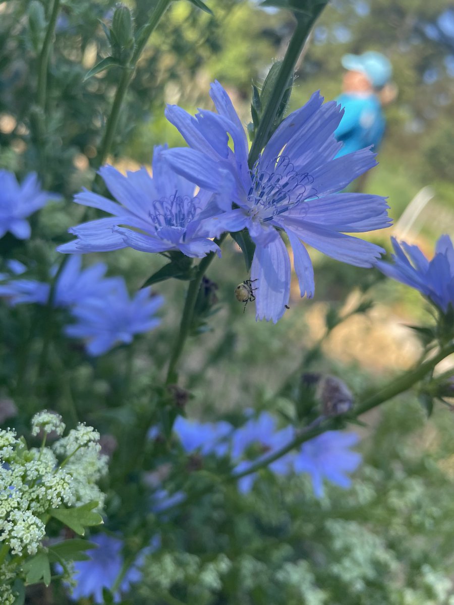 Melanie Johnson tweet media