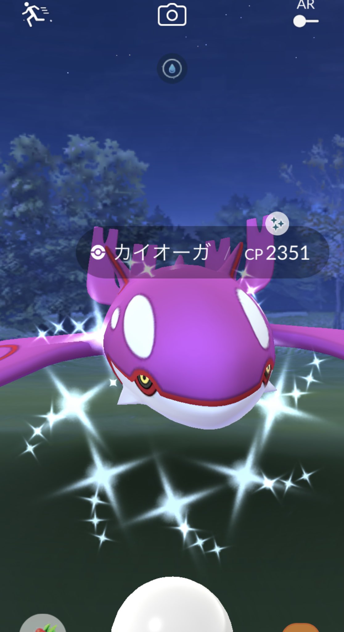 Latte ﾟ やばい まさかの色100 しかも今回では初の色違いカイオーガさんが ﾟ 嬉しすぎる ポケモンgo 色違いカイオーガ 個体値100 Shinypokemon Shinycheck T Co Ru8tvjn9qy Twitter