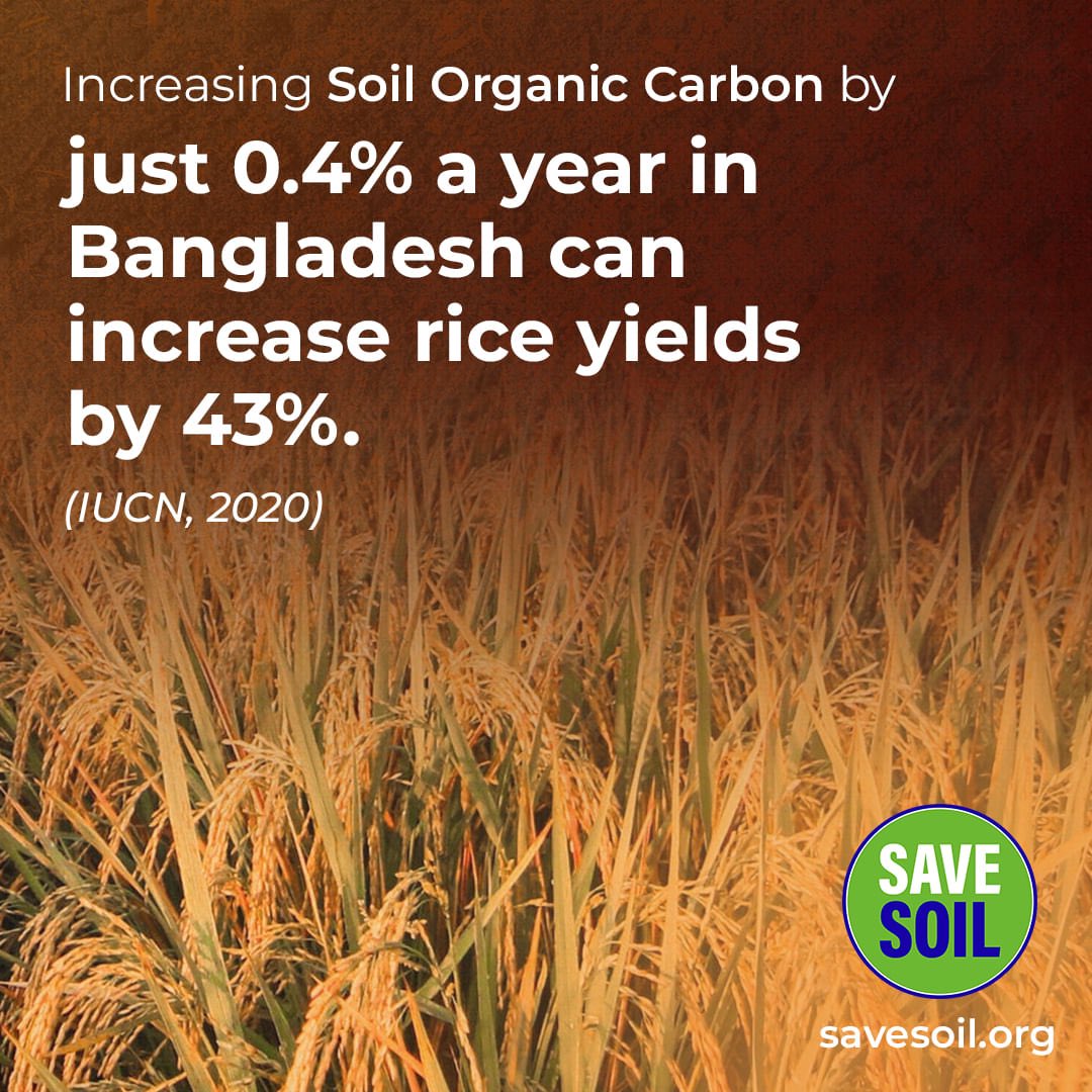 Ramdeyal's tweet photo. I am on my journey to #SaveSoilWithWords with Sadhguru. I am on level 52/100 and have traveled 16750 Km so far.
To Download the app: https://t.co/ftUpKXDGWy
To know about #SaveSoil, visit https://t.co/ogkkoojWj2
⚫⚫⚫🌼🌼
⚫🌳🌳⚫🌳
🌳🌳🌳🌳🌳 https://t.co/IU7HrBUHEw
