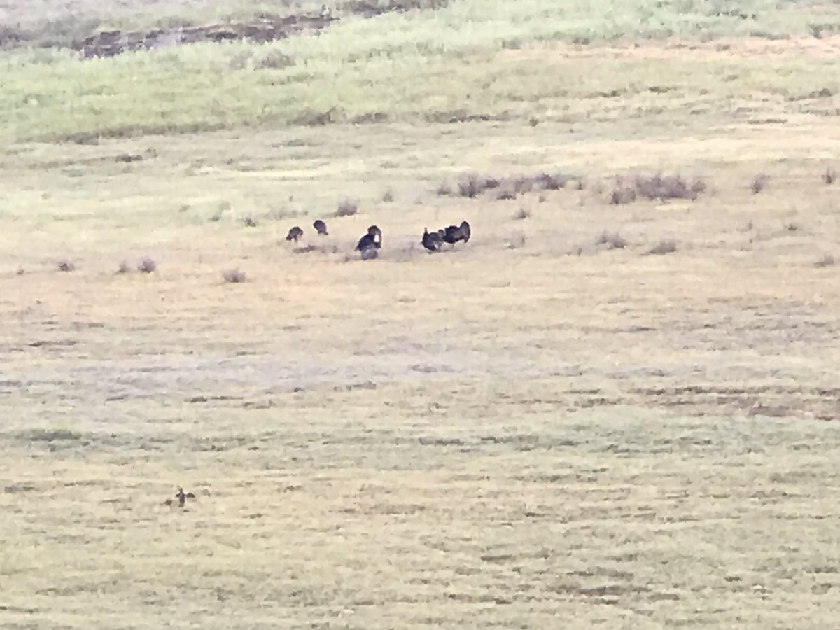 Aaronhawks16's tweet photo. Good morning from NorCal https://t.co/ybV9PsqHbJ