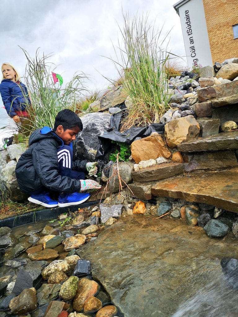 scoil_an's tweet photo. Cleaning the weeds in and around our school pond and rockery. The boys then filled the pond up again so it is ready for SESE lessons, water safety lessons and even some mindfulness and meditation! #outdoorlearning #outdoorlearningireland @BioInSchools @HerInSchools https://t.co/m5VSXzelAj