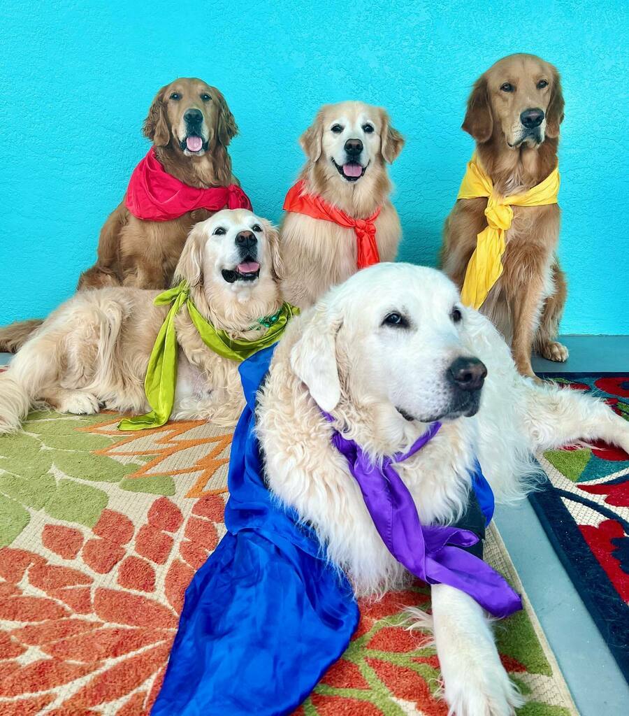 Happy Pride!!!! 
❤️🧡💛💚💙💜🤎🖤
🏳️‍🌈🏳️‍⚧️🏳️‍🌈🏳️‍⚧️🏳️‍🌈🏳️‍⚧️🏳️‍🌈