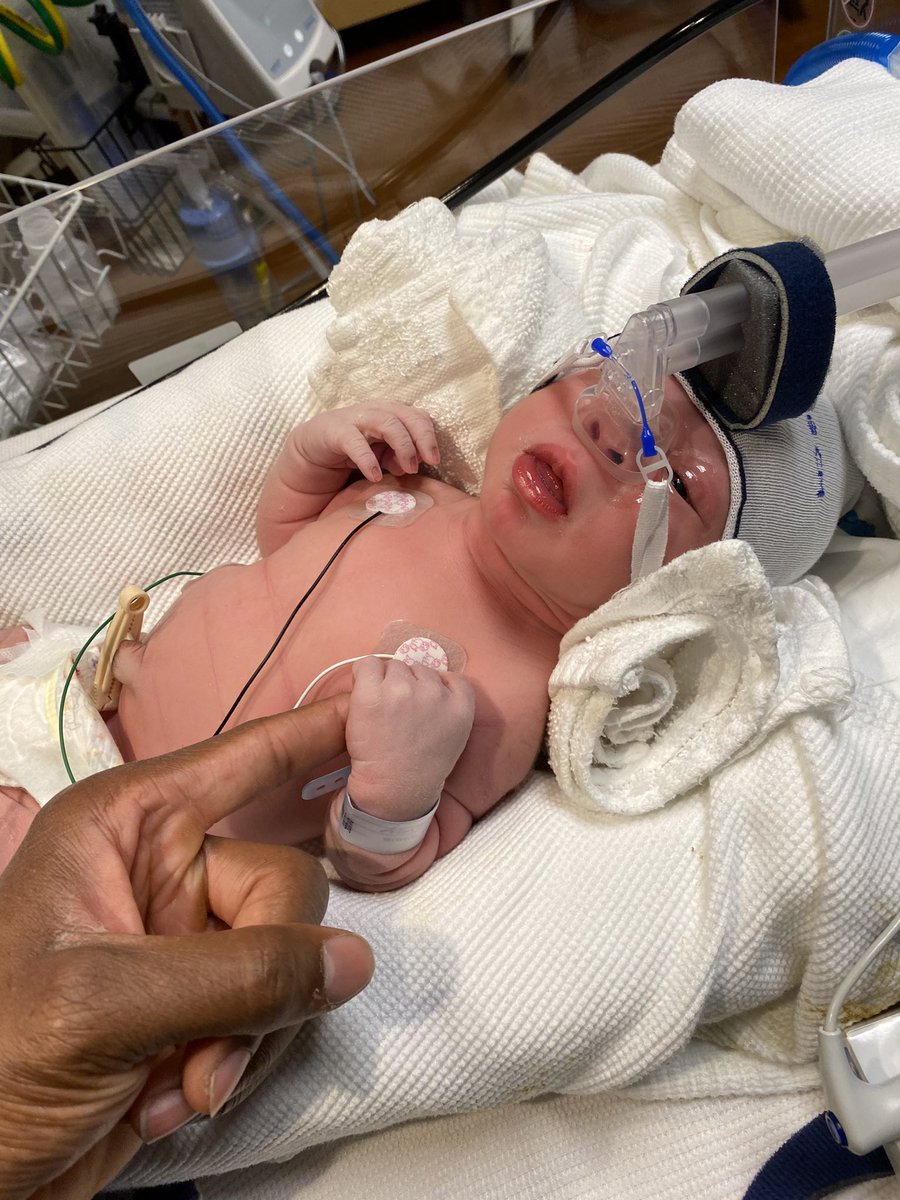 Jeremy Harden tweet media