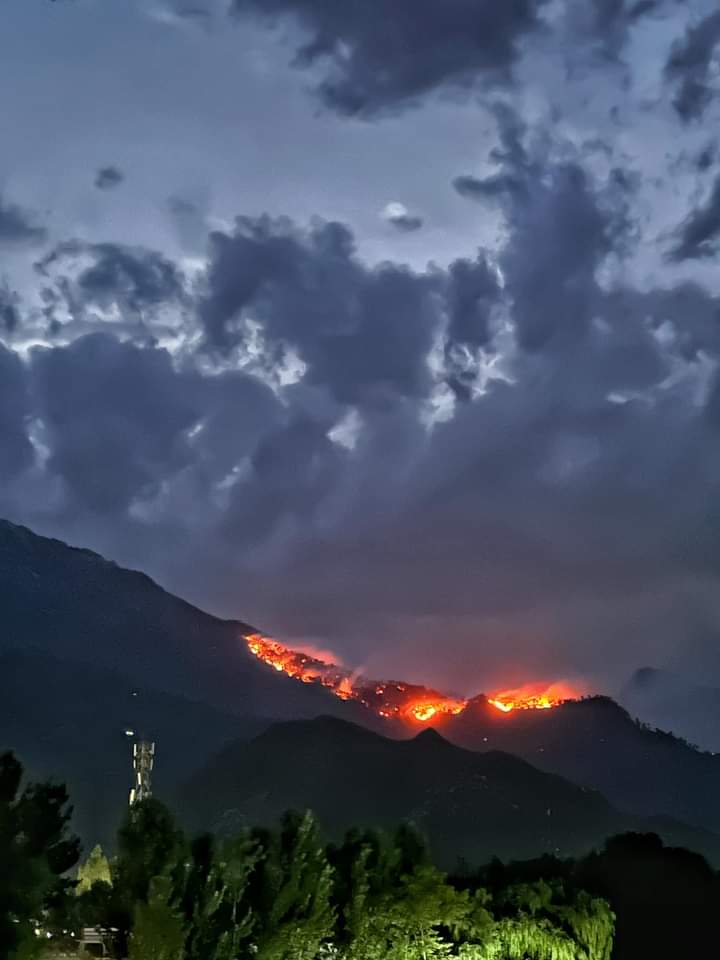 Azalafridi10's tweet photo. Fires have also broken out in the mountains of Buner district. Why is the government silent instead of taking serious steps? The case came up in five districts of Pakhtunkhwa. Who is behind it? #SaveBurningForests https://t.co/kApBdBpplx
